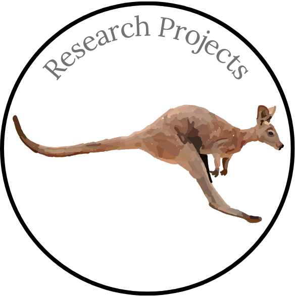 Research Projects