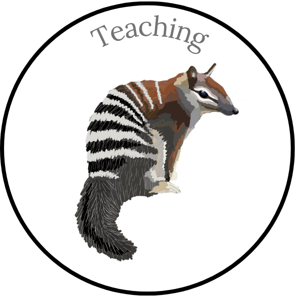Teaching